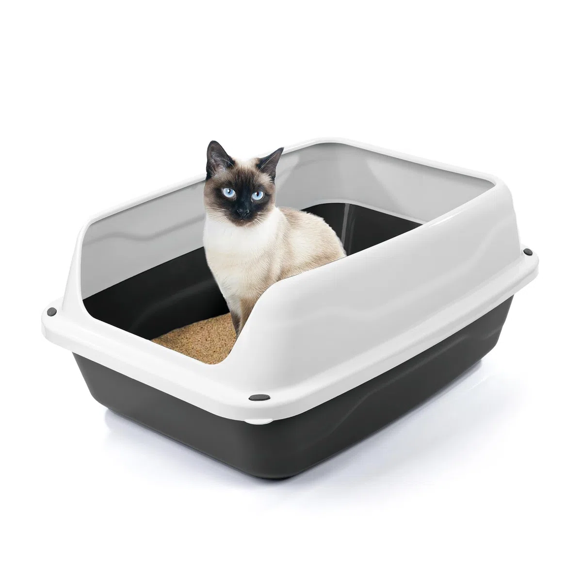 Patam lettiera aperta per gatti con bordi alti e paletta omaggio, 56 cm x 40 cm x 24 cm Made in Italy – Milù Maxi Grigio