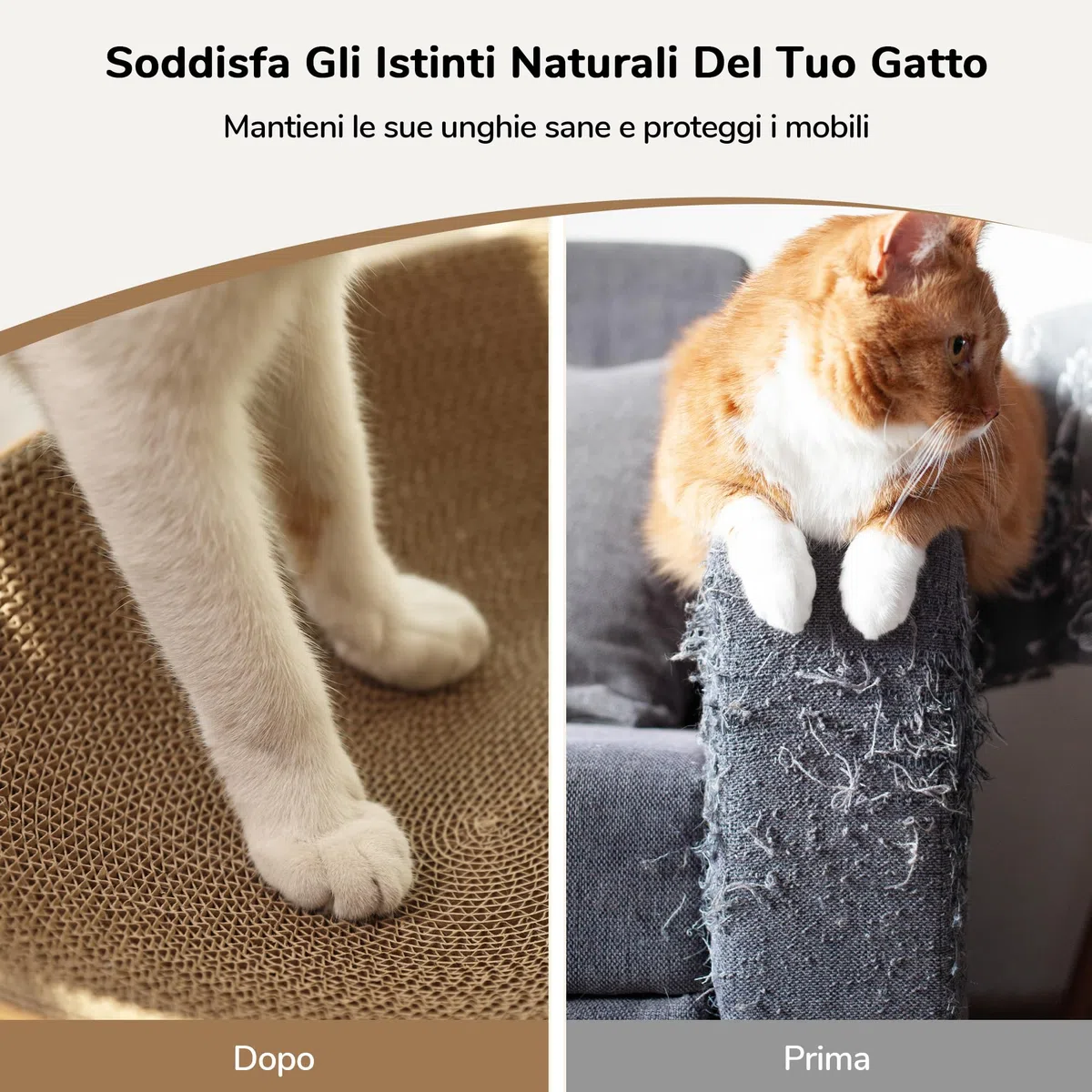 FUKUMARU Tiragraffi per Gatti in Cartone, Letto Graffiatoio Ovale per Gatti da Interno, Tiragraffi Moderno e Resistente a Forma di Cuccia, Protettore per Mobili da Graffiare, Stampa a Pois