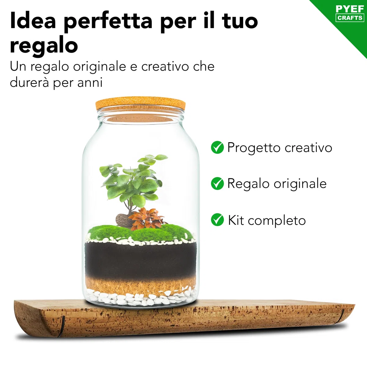 Terrarium Kit XL per un Ecosistema Autosufficiente - DIY Kit Terrario Piante Vetro 4L - Terrarium Vetro XL per Giardino in Bottiglia Ecosistema - (Senza Pianta)