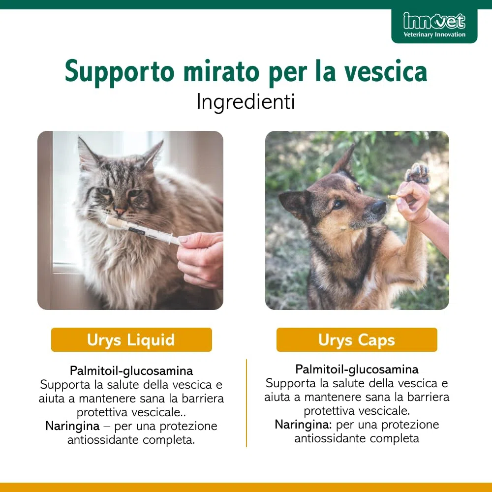 Innovet Urys Liquid 60 ml Per il benessere delle basse vie urinarie del cane e del gatto, con palmitoil-glucosamina micronizzata (PGA-m)