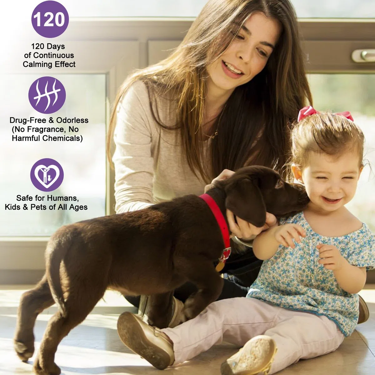 SLE Feromoni per Cani Calmante (2 Diffusore + 4 Ricaricha) Risolve i Problemi di Marcatura con L'urina, Comportamento di Abbaiare, Ricarica del Cani Diffusore del Feromone All'Ansia Rimani più Calmo