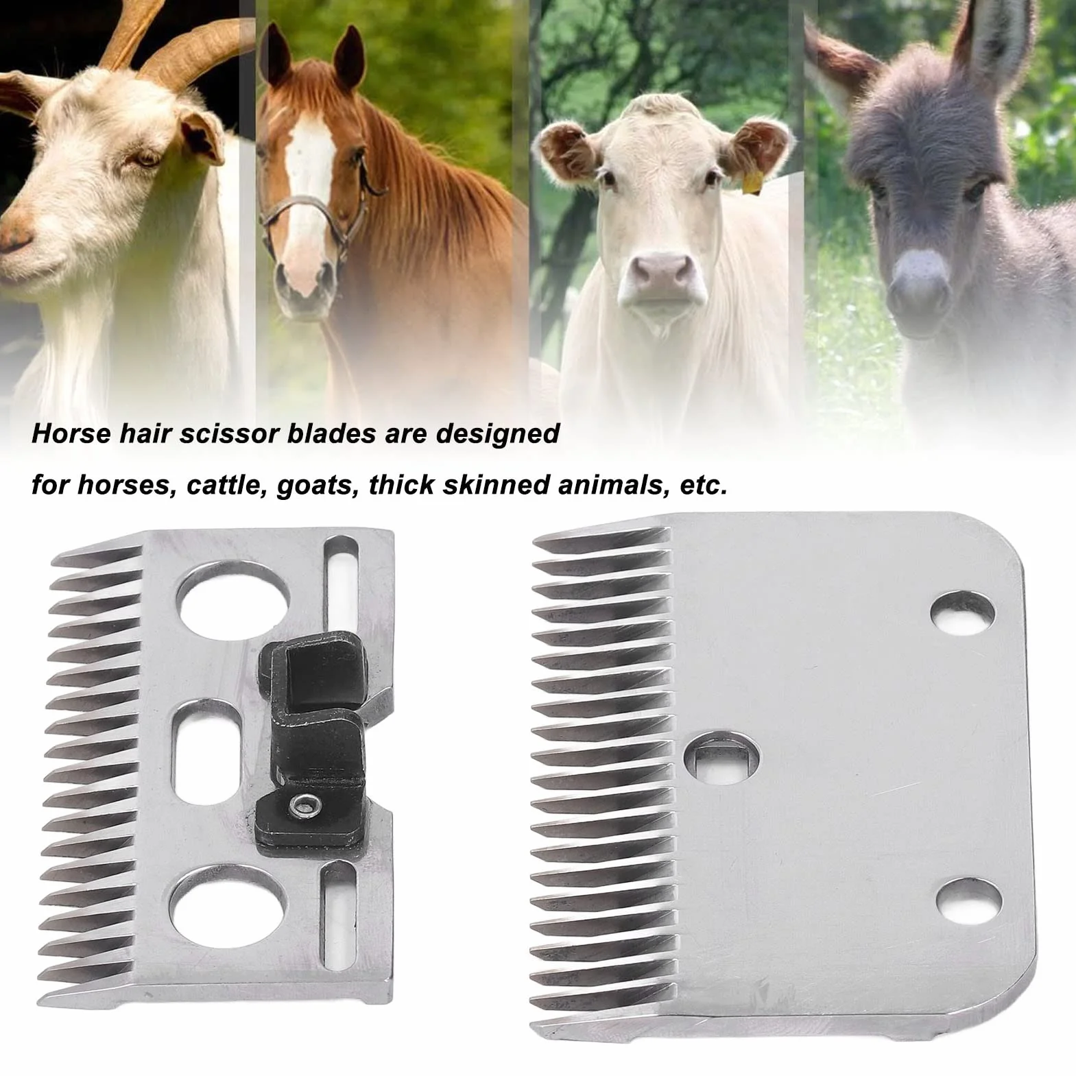 Artillery Lame di Ricambio per Tosatrice per Cavalli, Lame Universali a 21 Denti Lame di Ricambio in Carburo per Tosatrice per Cavalli, Capre, Agnelli e Bovini
