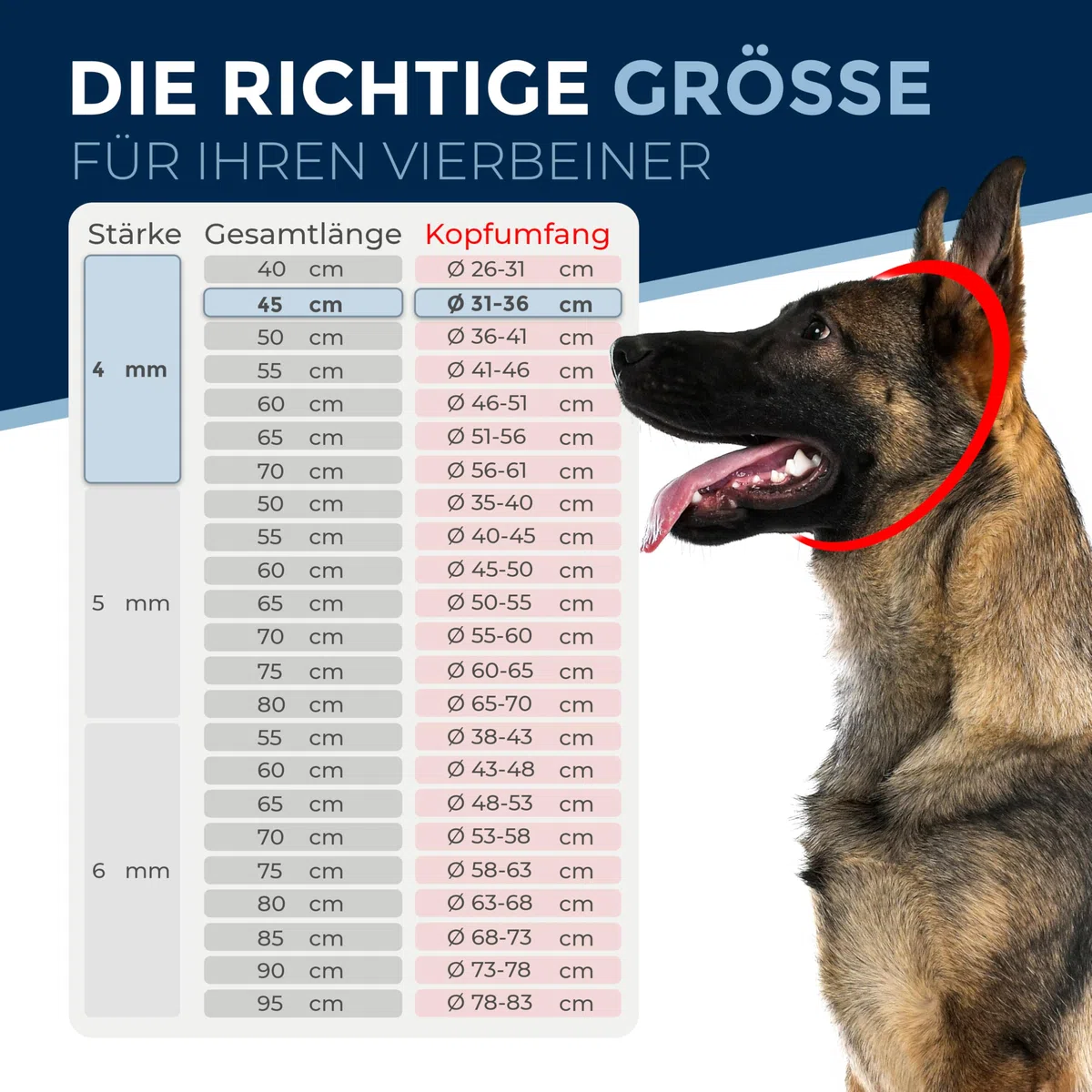 Collare addestramento cane acciaio inox V4A Ø4 mm – lunghezza 60 cm (lunghezza totale) – per circonferenza testa 46–51 cm – catena maglie corte con arresto di trazione