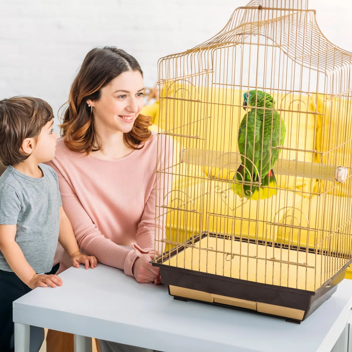 Okllen 50 Fogli di Carta per Gabbie per Uccelli, 27,9 x 43,2 cm, Accessori per la lettiera degli Animali Domestici, Carta vetrata per Gabbia di pappagalli
