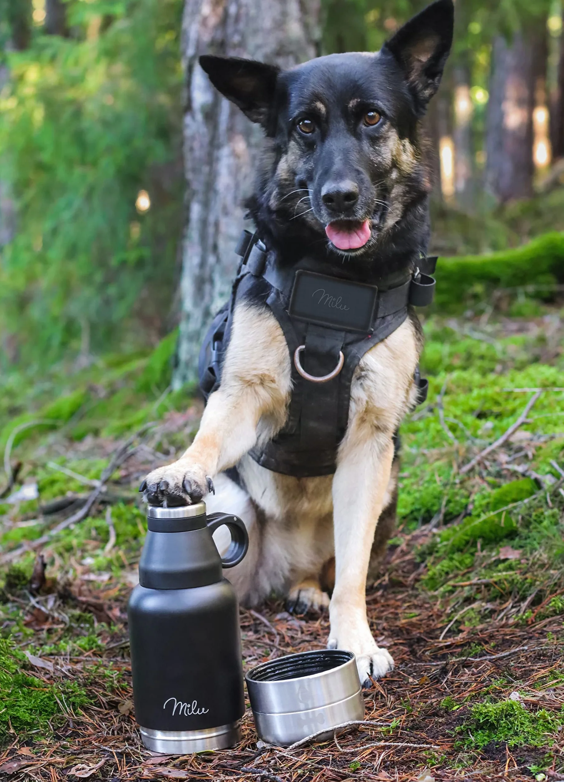 Milu Borraccia per cani da viaggio, 950 ml, con ciotola, isolata, in acciaio inox, per cani, con contenitore per cibo, ciotola, cane, escursionismo, viaggi, passeggiate
