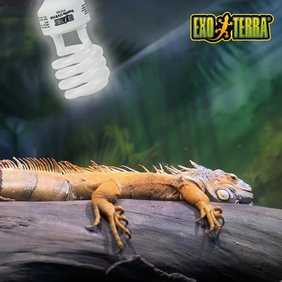 Exo Terra Reptile UVB 150 PT2189, Lampada per Terrario Desertico, 25 Watt