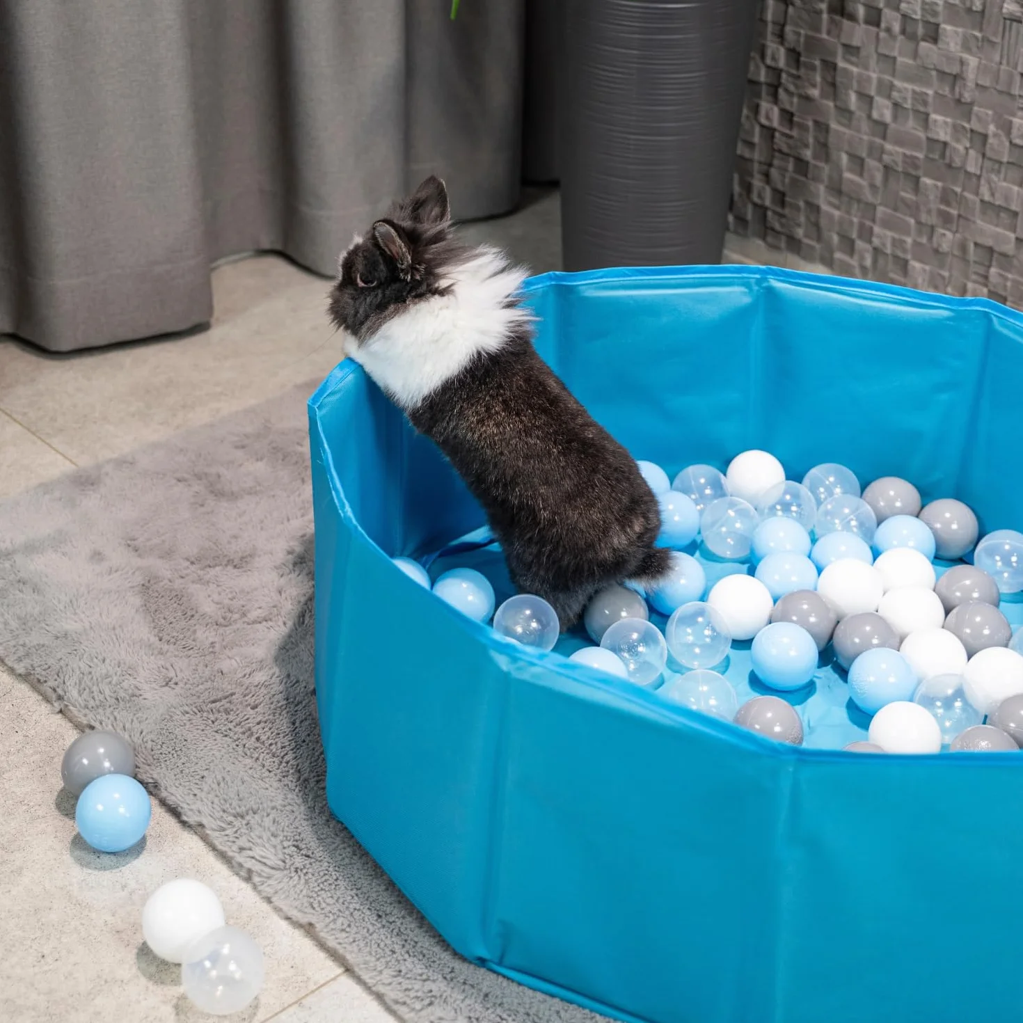 Piscina Pieghevole per Cani con Palline, Vasca da Bagno Asciutta per Animali, Rivestimento Sfoderabile E Lavabile, Blu: Blu/Giallo