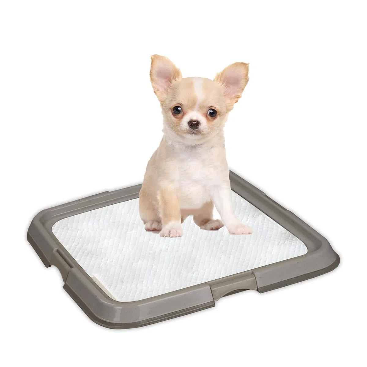 PAWISE Vassoio per addestramento per WC per cani da interno, supporto portatile per pipì per animali domestici, vassoio per lettiera per gatti , 49 x 36 cm
