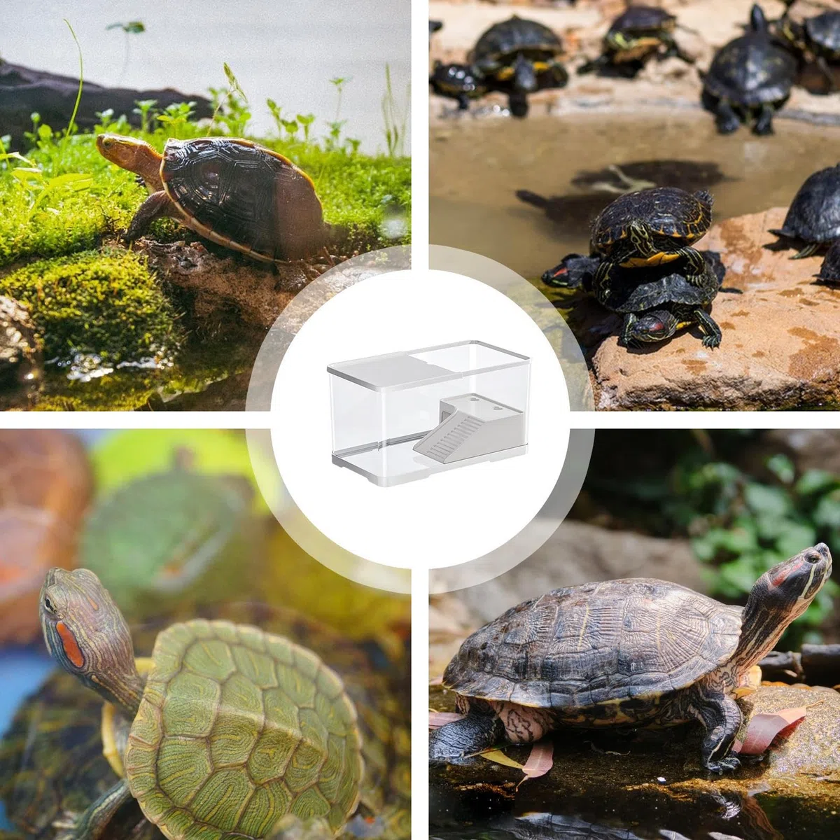 Acquario per rettili - Habitat per tartarughe da 75 litri, vasca per tartarughe acquatiche con area per crogiolarsi integrata, costruzione sicura a prova di fuga | Recinto tutto in per piccoli ret
