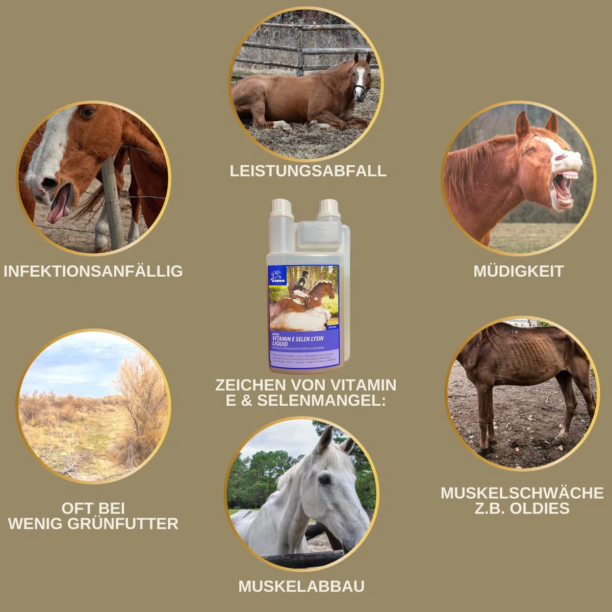 Vitamina E Cavallo I Selenio Cavallo I Vitamina E Selenio Lisina Cavallo I VIT E Mangime supplementare Booster energetico Muscolo I Costituzione muscolare I mangime Senior Selenio altamente dosato 1L