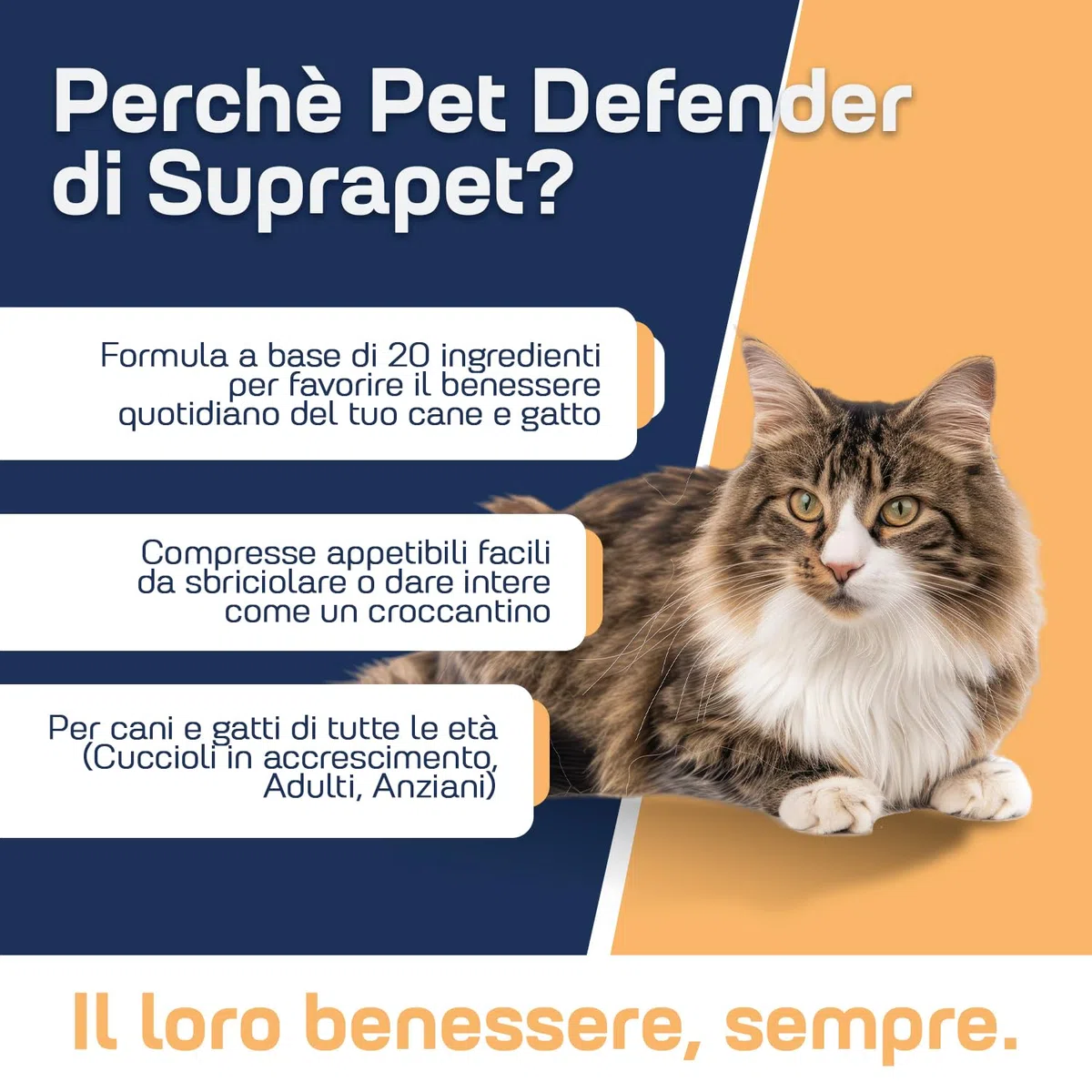 Multivitaminico Cani e Gatti 180 Compresse Appetibili - Per Sistema Immunitario, Articolazioni, Pelo con 13 Vitamine, 6 Minerali, Aminoacidi Essenziali, Cardo Mariano e Carciofo, 360 Pet Defender