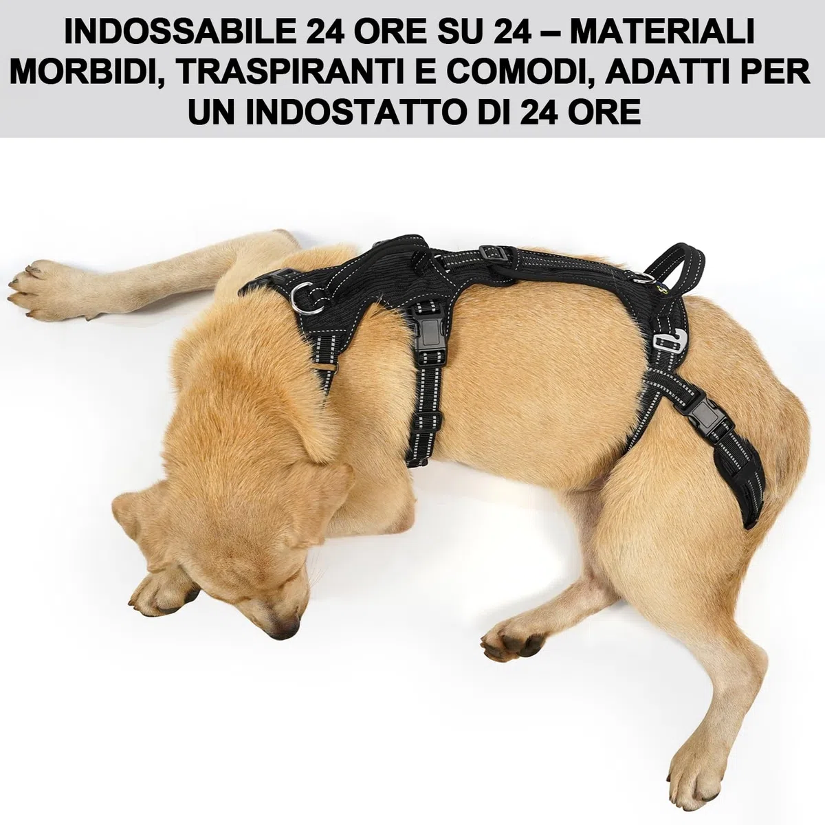 COODEO Imbracatura per Cani, Supporto e Fodera per Passeggio, Gilet di Riabilitazione per Zampe Posteriori, Trasportino per Cani Anziani con Infortuni e Artrite, Aiuto per Salire le Scale. (Nero, XL)