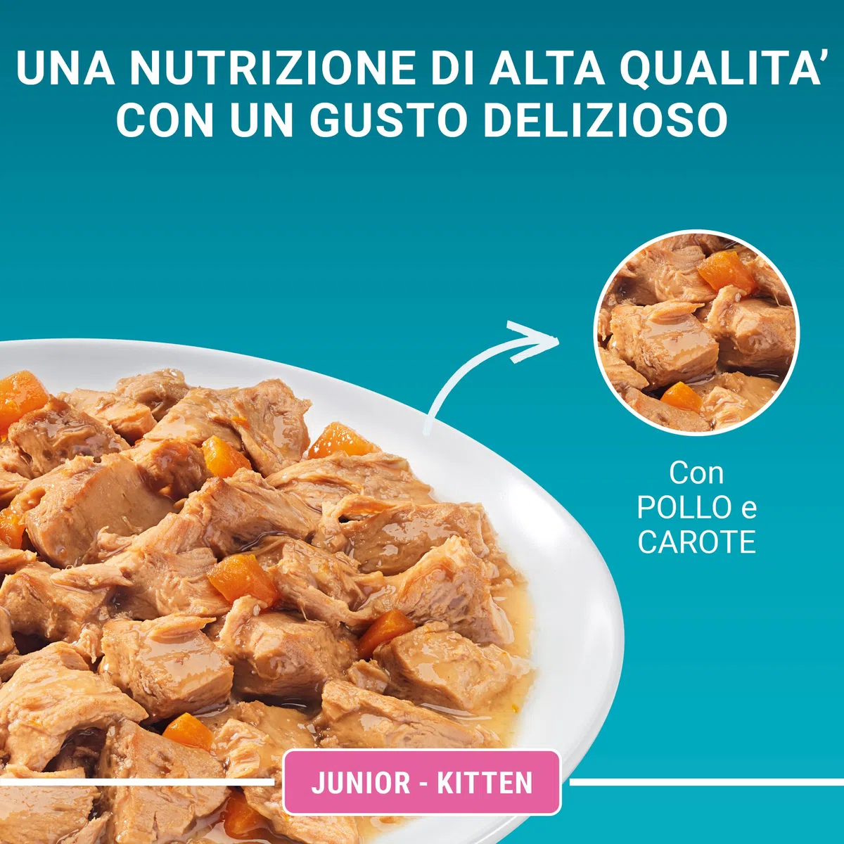 PURINA ONE Junior Cibo Umido per Gattini 1-12 Mesi Filettini con Pollo e Carote in Salsa 48 Buste da 85 g