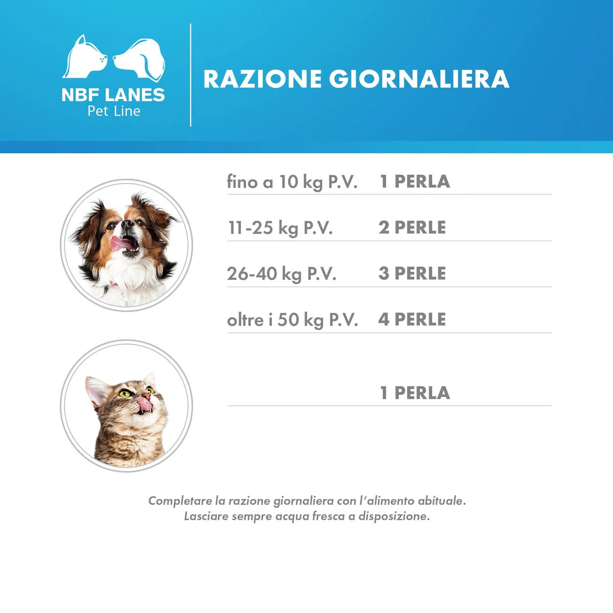 NBF Lanes | Ciellea Pet Recovery Cane e Gatto, 60 Perle Appetibili, per il Normale Equilibrio del Peso Corporeo
