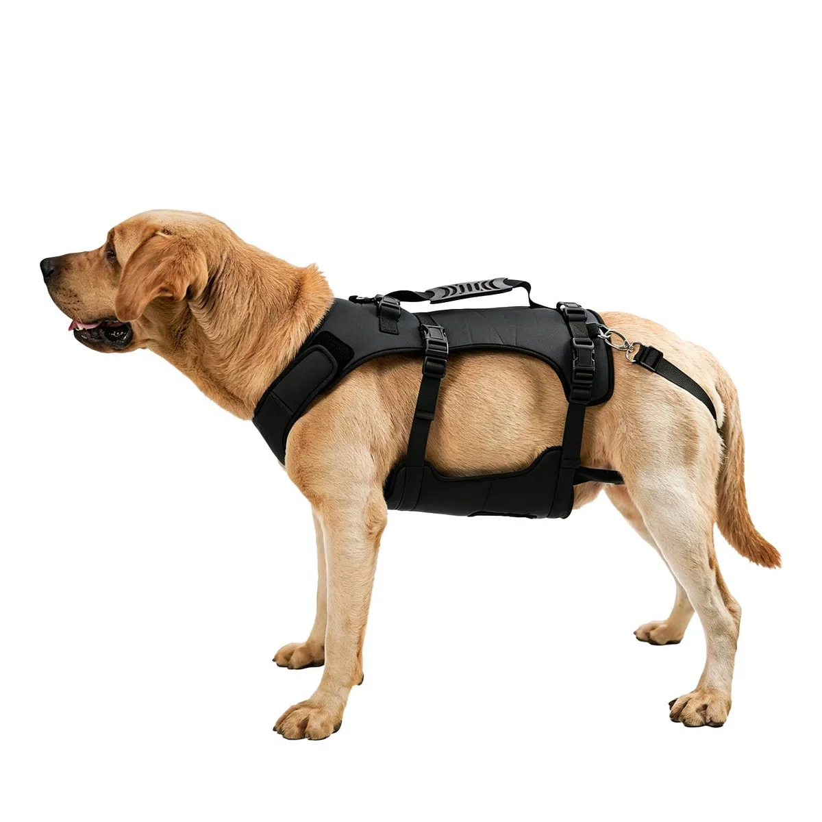 COODEO Imbracatura per Cane, Gilet di Supporto Completo e Recupero, Regolabile e Traspirante, per Cani Anziani, Disabili, con Lesioni Articolari, Artrite e Paralisi. (Nero, L)