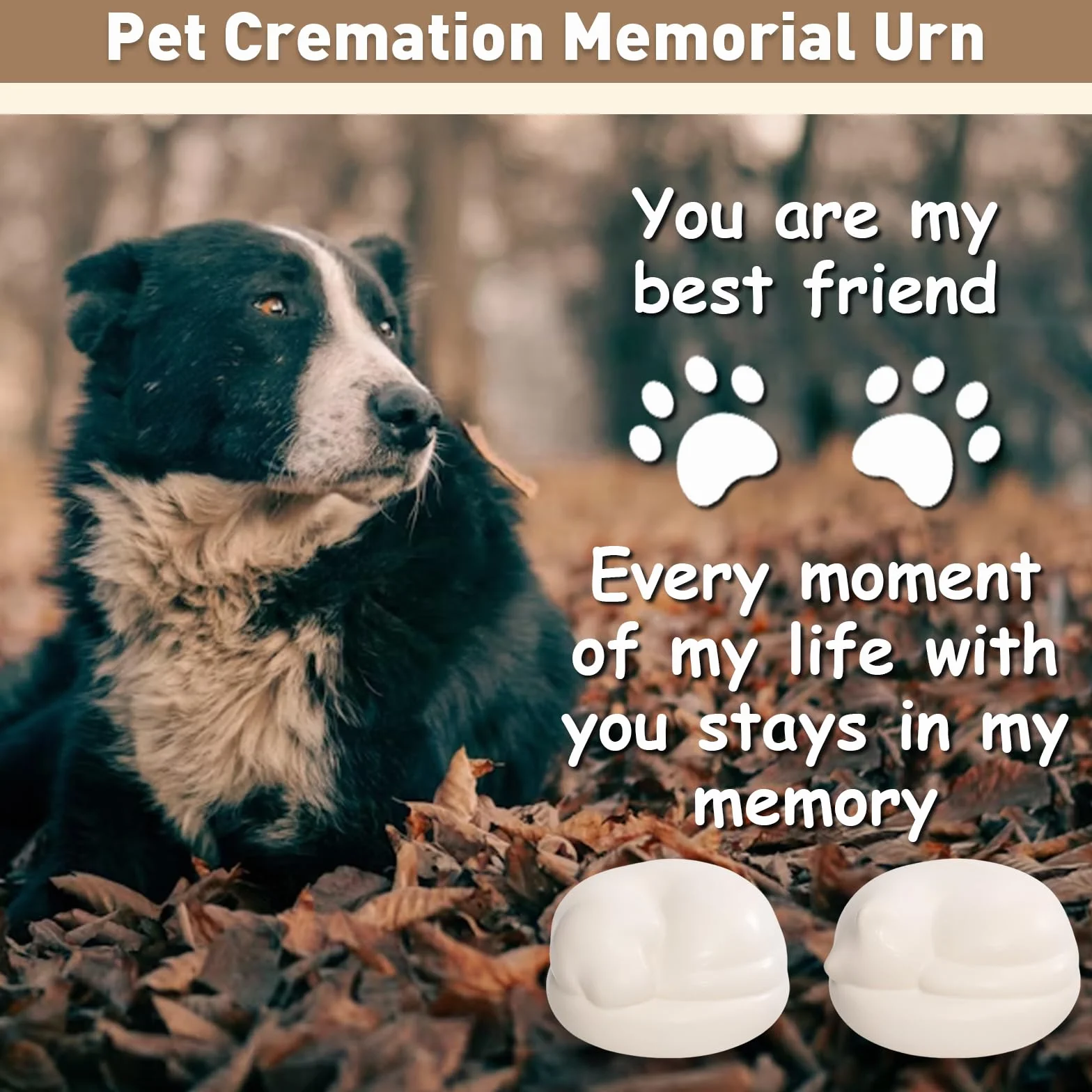 Urna commemorativa per la cremazione degli animali domestici – Contenitore per ceneri in ceramica per gatti e cani, barattolo ricordo per la memoria (gatto)