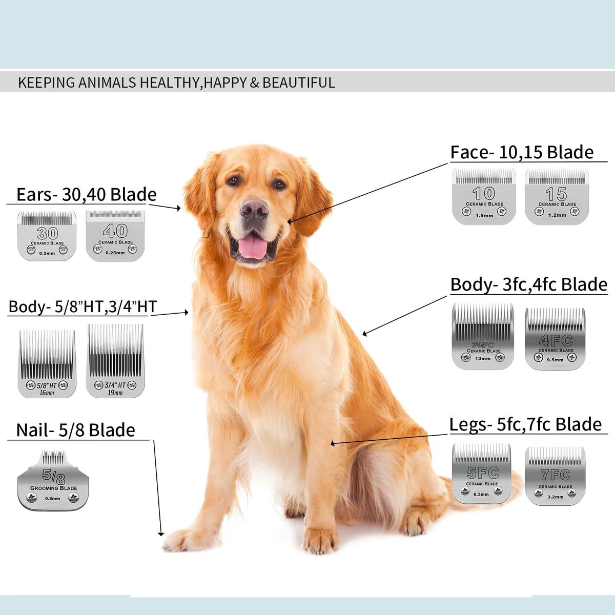 Lame per toelettatura cani compatibili con tosatrici Ainds, Oster A5, Wahl KM-10 e altre serie (3/4" HT 19 mm, 1 pezzo)