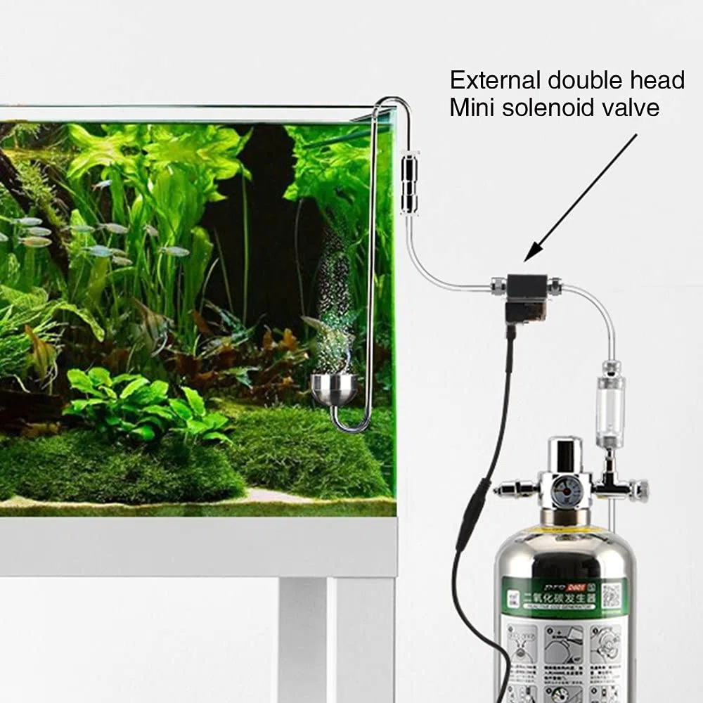 DONGKER Elettrovalvola di CO2 dell'Acquario, Regolatore di Sistema di CO2 DC 12V per Erba d'acqua Serbatoio Pesci Acquario Crescere