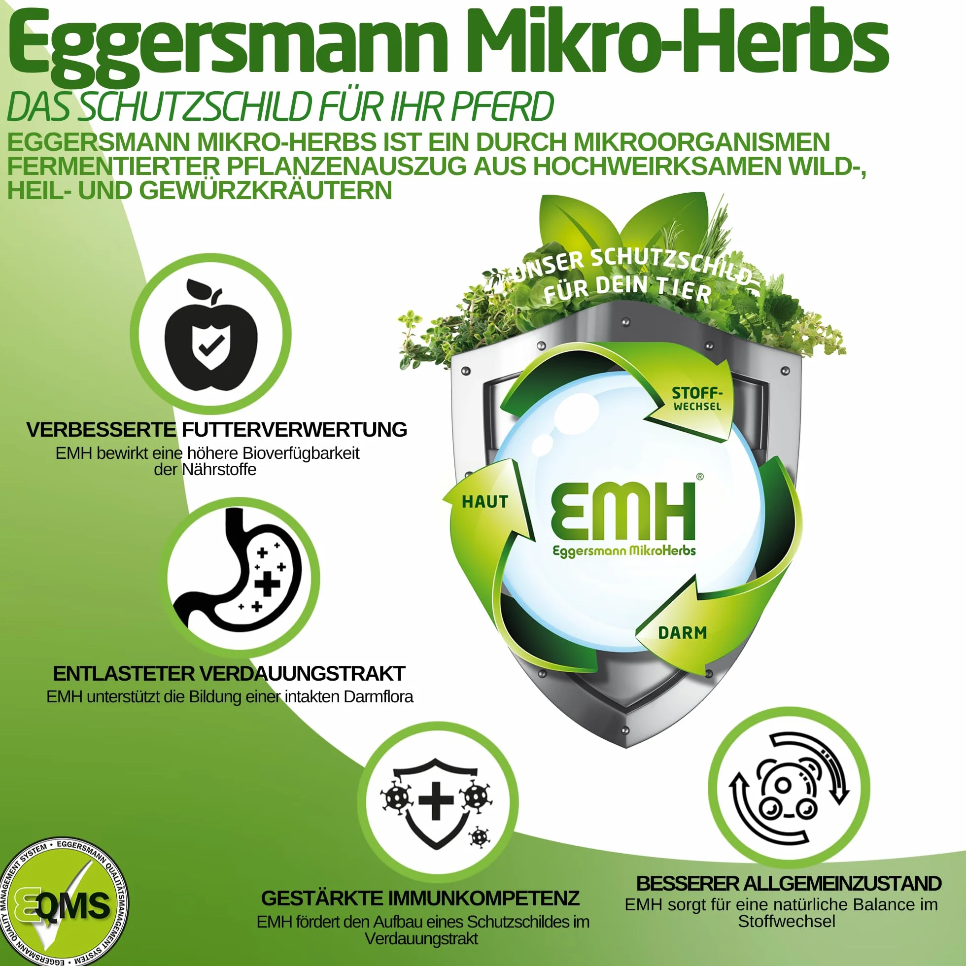 Mangime completo di alta qualità, il müsli ideale per l'immagazzinamento del silo, Eggersmann EMH F müsli per cavalli, confezione da 1 (1 x 25 kg)