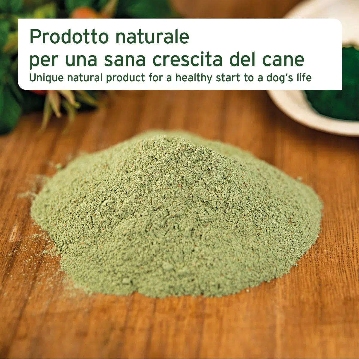 AniForte Junior Active per Cuccioli e Giovani Cani 250g - per Ossa, tendini, legamenti, Sviluppo dei Denti di Cuccioli e Giovani Cani. Integratore per Cuccioli con Calcio, vitamine e minerali