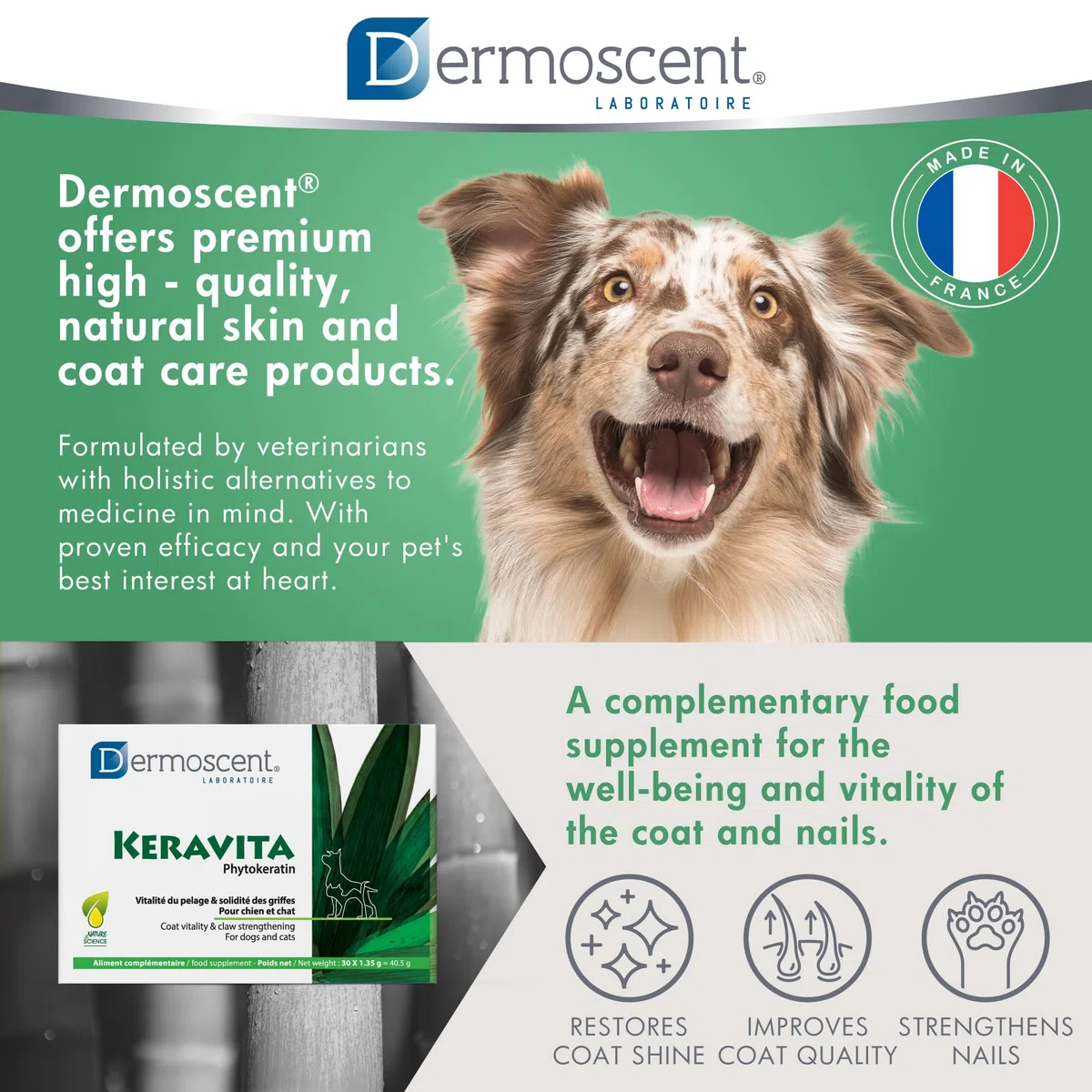 Dermoscent Integratore per Cani e Gatti - 40.5 Gr