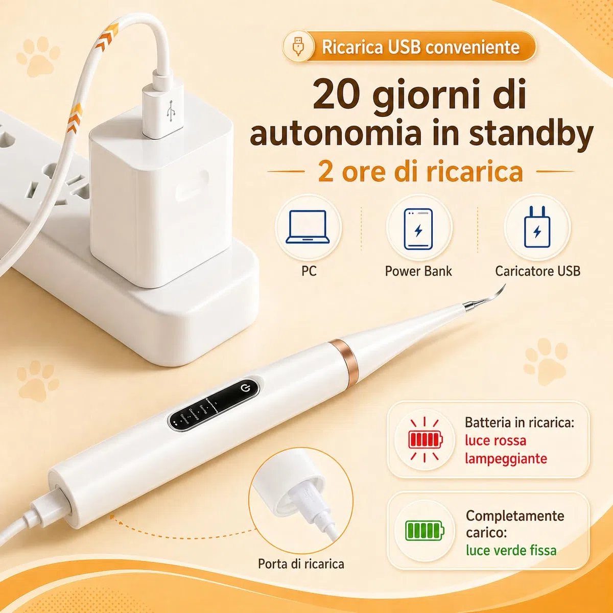 ZampaDent Dispositivo Professionale per la Pulizia Dentale del Cane Pulizia Denti Cane Rimuovi Tartaro Denti con Design Leggero per Uso Domestico e Viaggio (nero)