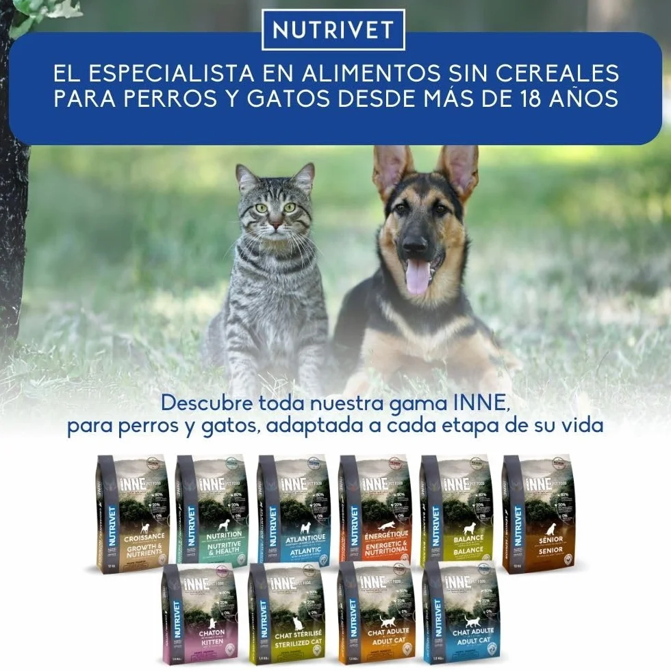 NUTRIVET - Alimenti complementari - Cani & Gatti - Olio di Salmone - Ricco di Omega 3 e 6 - Flacone Pompa 1L