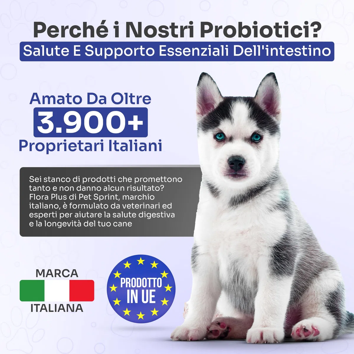 Probiotici Per Cani Flora Plus - Pre e Probiotico Digestivo Per Cani, Favorisce La Digestione e Salute Intestinale - Marca Italiana