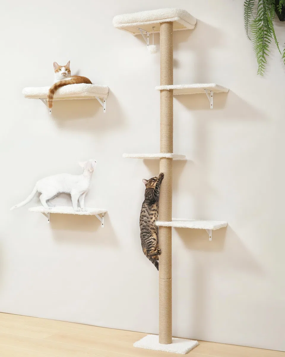 FUKUMARU Mensole per Gatti da Parete, Set di Mobili per Gatti a Muro Stabile 3-in-1, Colonna Tiragraffi da Parete con Piattaforma Morbida e Cuscino, Parete per Arrampicata Salvaspazio.Beige