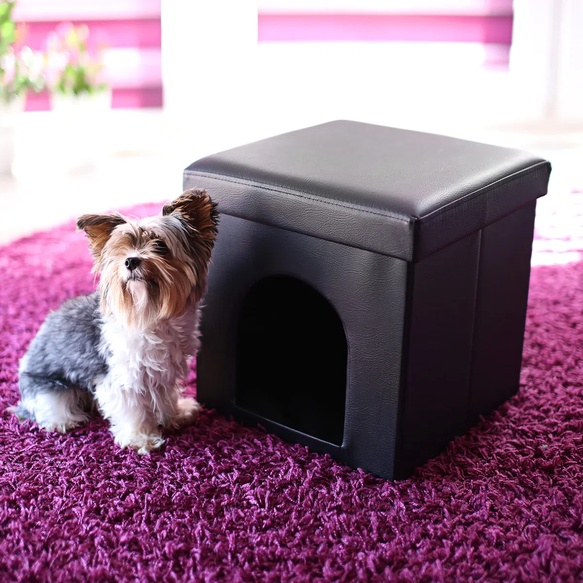 Relaxdays Cuccia Puff Pieghevole per Cane/Gatto, Finta Pelle, 38 X 38 X 38 cm, Nero