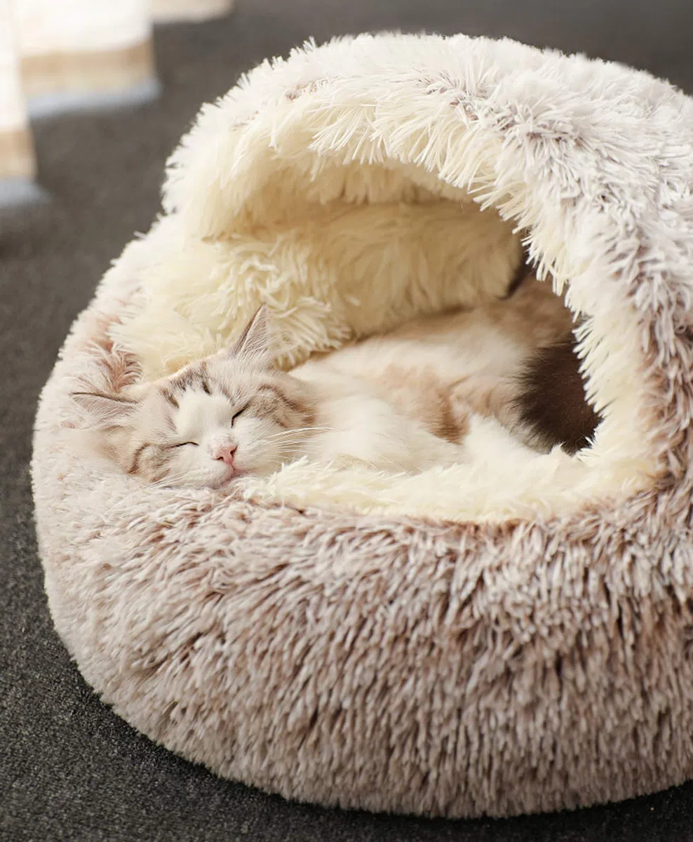 Sacco a Pelo del Gatto, Coperta di Peluche, Tappetino autoalimentabile per Animali Domestici, Morbida Tenda Antiscivolo, Lavabile (caffè a Pelo Lungo)