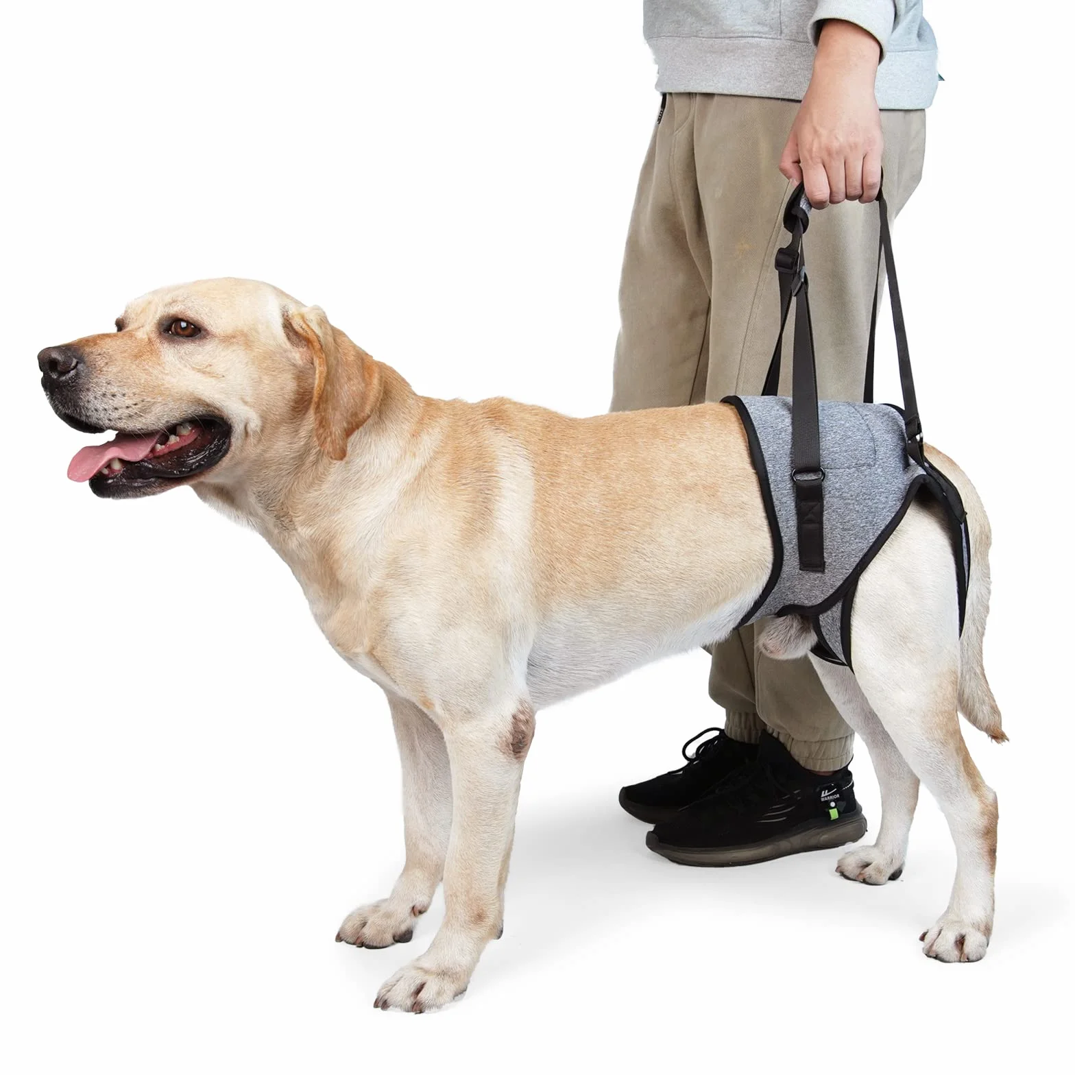 Dotoner Imbracatura per cani di sollevamento, imbracatura per cani per zampe posteriori, imbracatura morbida per cani disabili feriti di taglia piccola, media grande