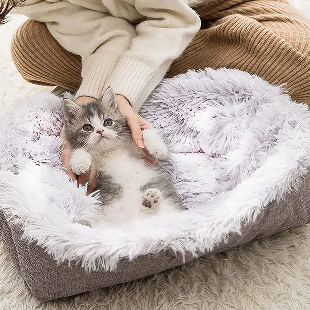 Letto per Cani, Cuccia per Gatti, 2in1 Cuccia per Gatti, Cuccia Pieghevole per Animali Domestici, Lavabile, 61x51cm, per Gattini Indoor e Outdoor, Cuccioli e Piccoli Animali (Bianco)