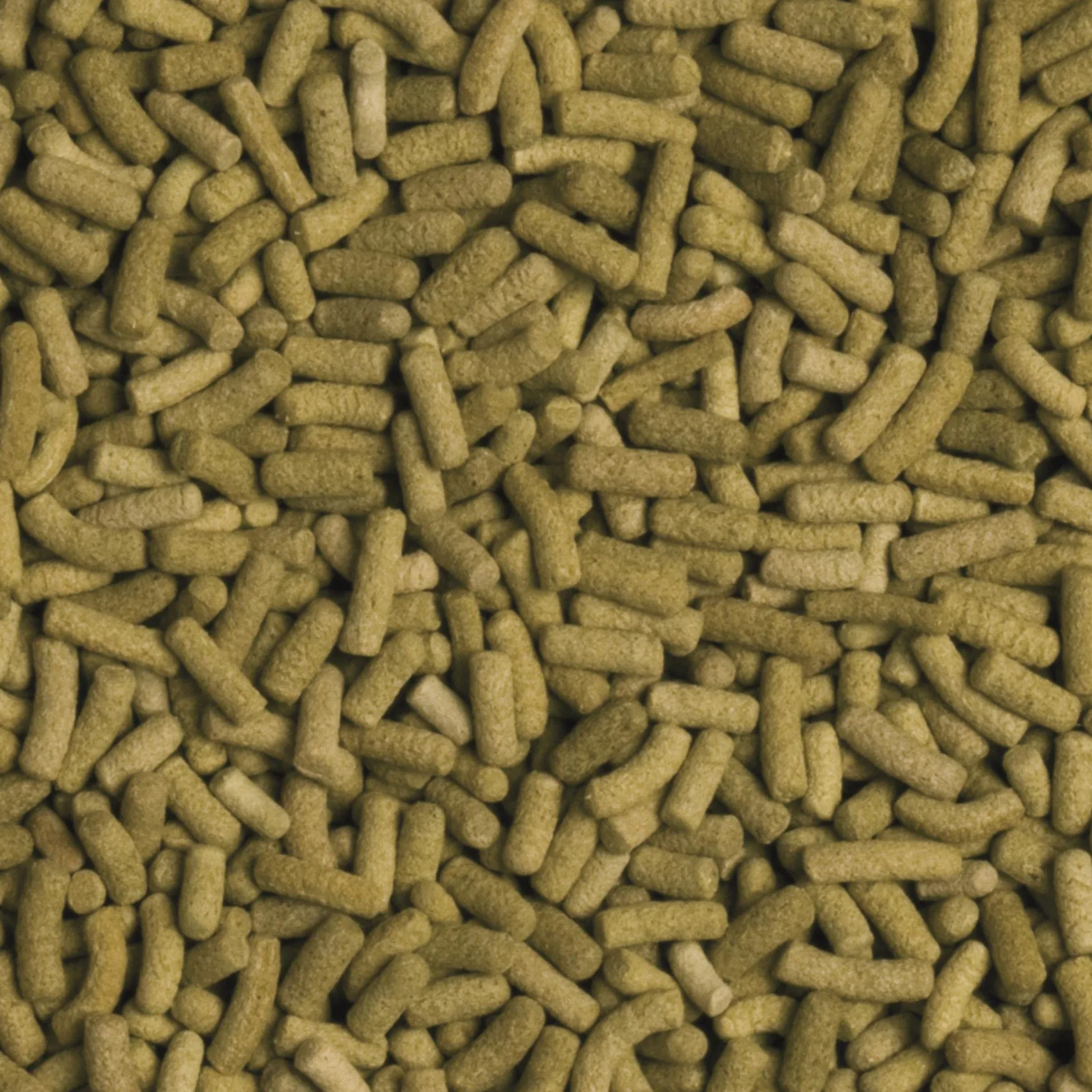 Tropical Tadeusz Ogrodnik BIOREPT L kg.1,4/Lt.5