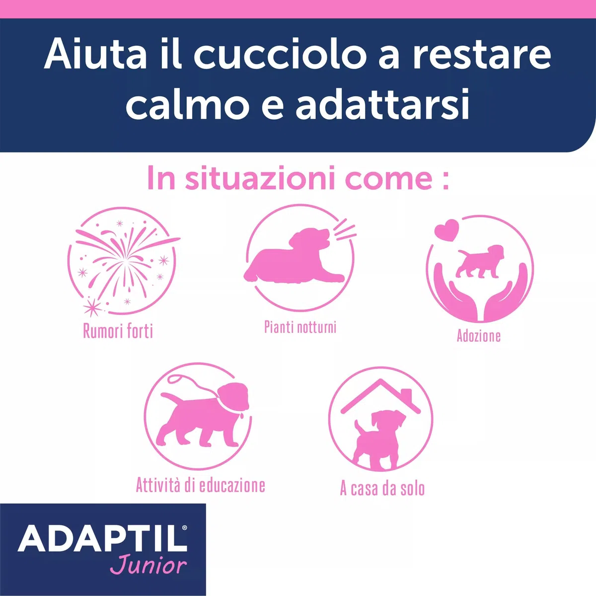 ADAPTIL JUNIOR COLLARE