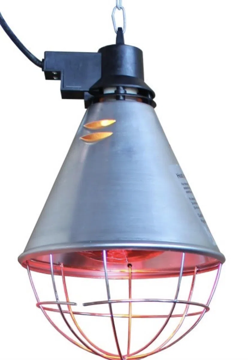 Lampada di Calore Radiante a Infrarossi e Lampadina Rossa Interruttore Alto Basso Pollame Polli Pulcini Cucciolo Cane e Bestiame