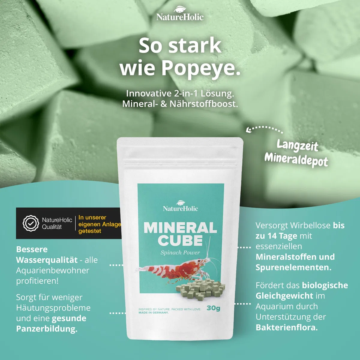 NatureHolic MineralCube - Confezione da 4 pezzi | Pure Mineral, Vitamine Power, Spinach Power & Blue Spirulina | Mangime minerale e permanente per gamberetti, lumache, granchi, granchi