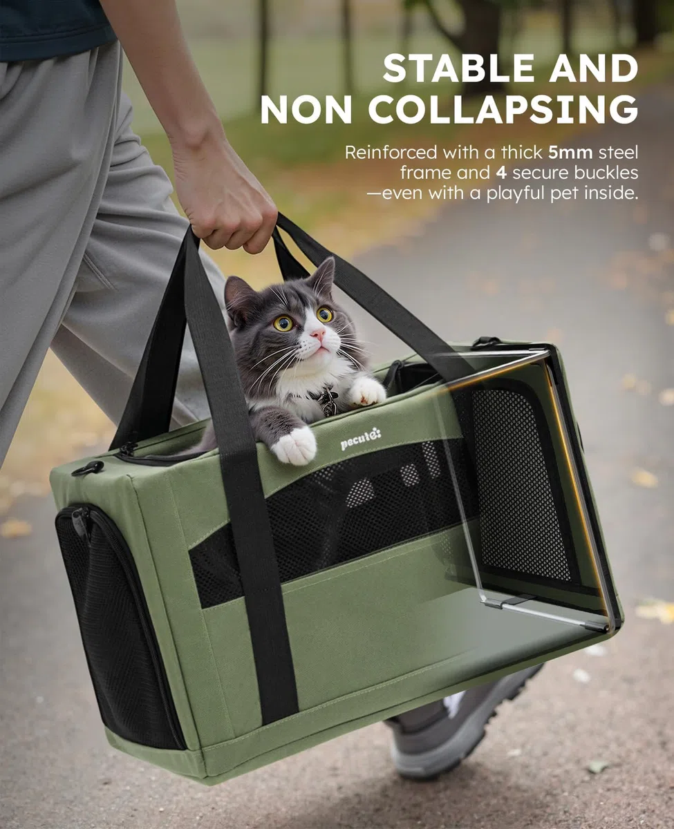 Pecute Trasportino Gatto, Stabile Zaino per Gatti, Traspirante e Portatile Trasportino per Cani, per Gatti Sotto i 5KG, Adatto per Viaggi e Gite, Verde