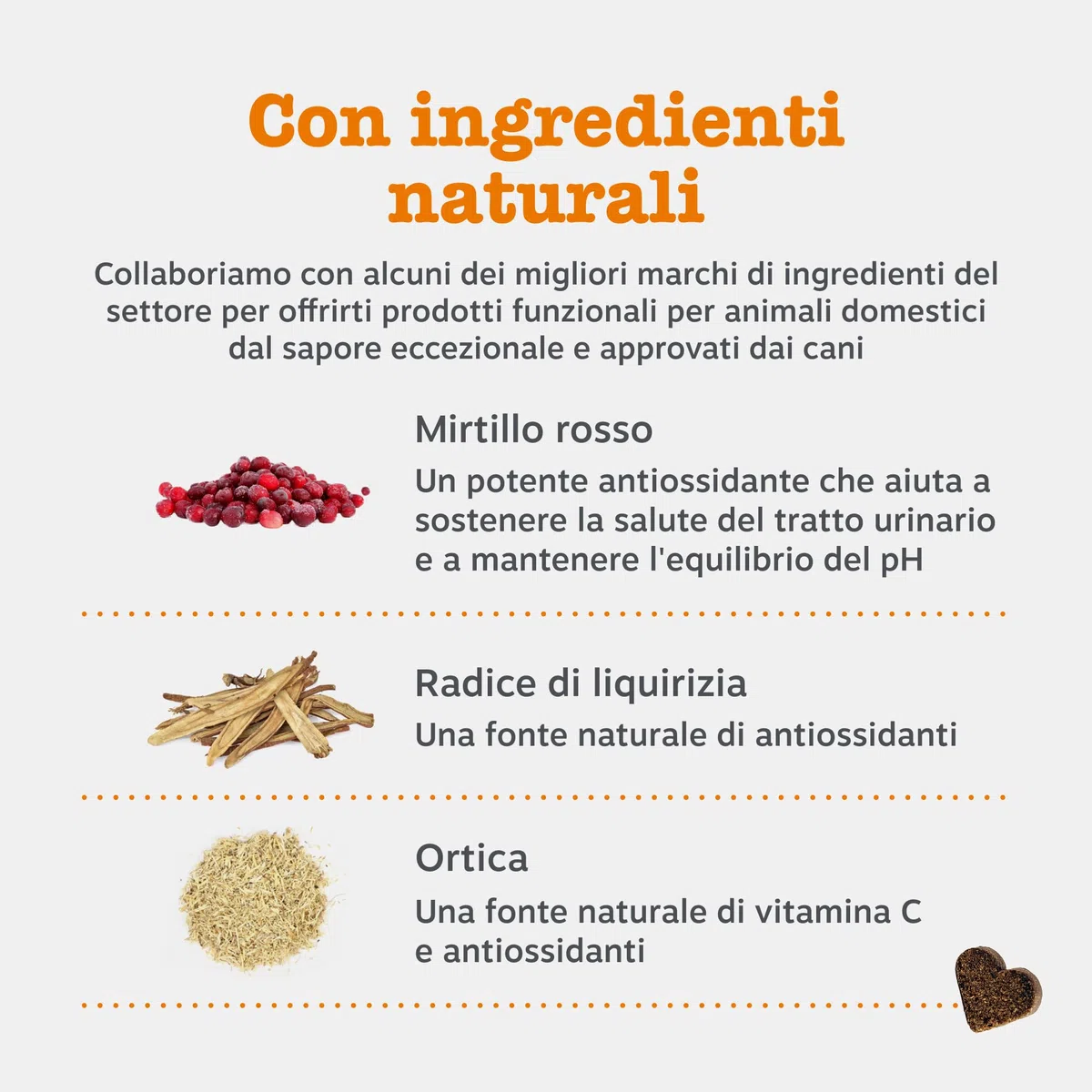 Zesty Paws Cranberry Urinary Care | Supporto delle Vie Urinarie | Integratori per Cani | D-mannosio, vitamina B6 e Exocyan | Alimento Complementare per Cani Adulti | Gusto Tacchino | 90 Pezzi