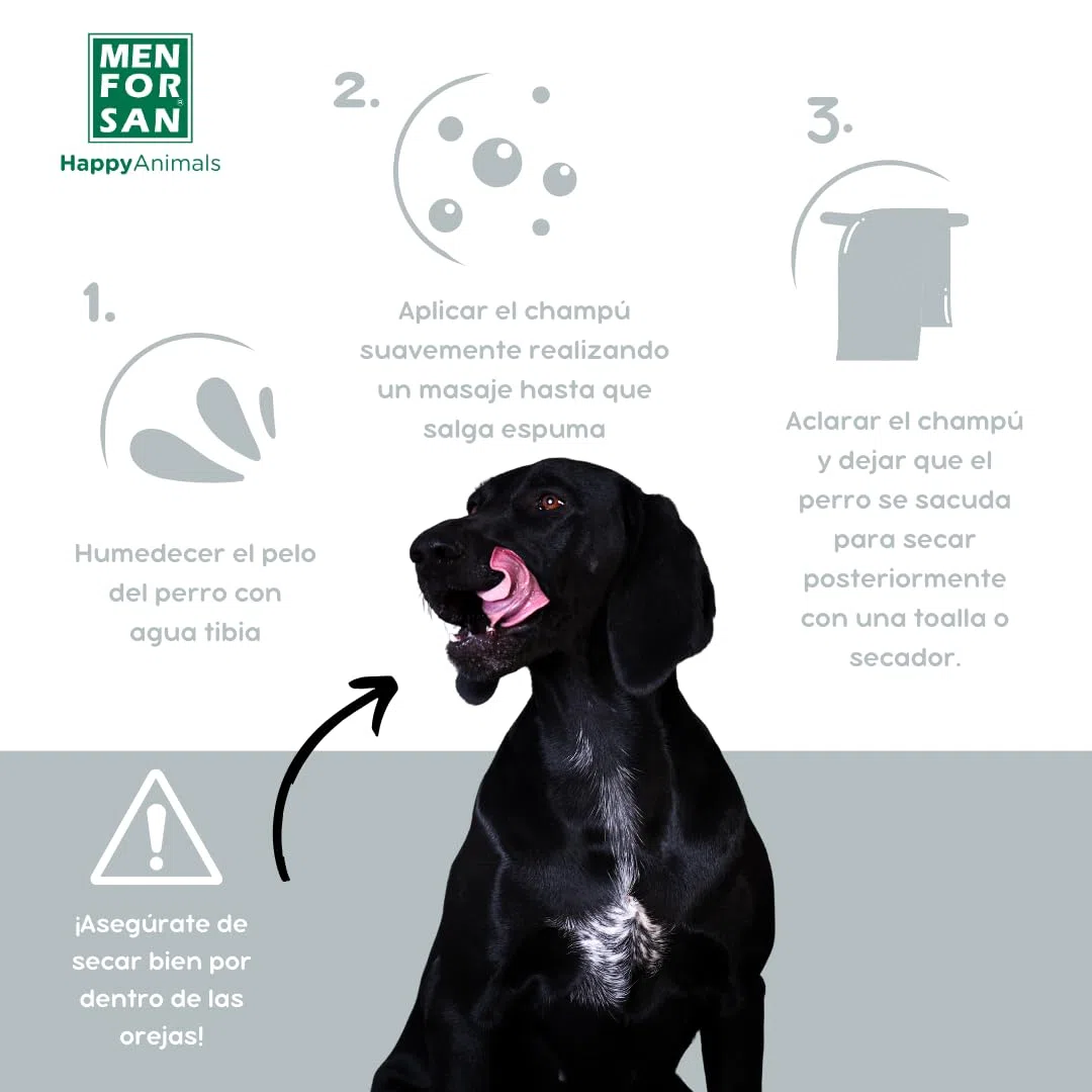 Shampooing Men for San Chien Cheveux Foncé Fruité (5 L)