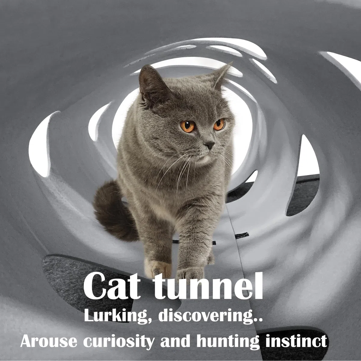 Tunnel per gatti giochi,giocattolo per gatti e tappeto tiragraffi 2 in 1,tunnel in feltro rimovibile e lavabile per gattino per Interagire con I Gatti.Numero di brevetto: No 015084058-0001