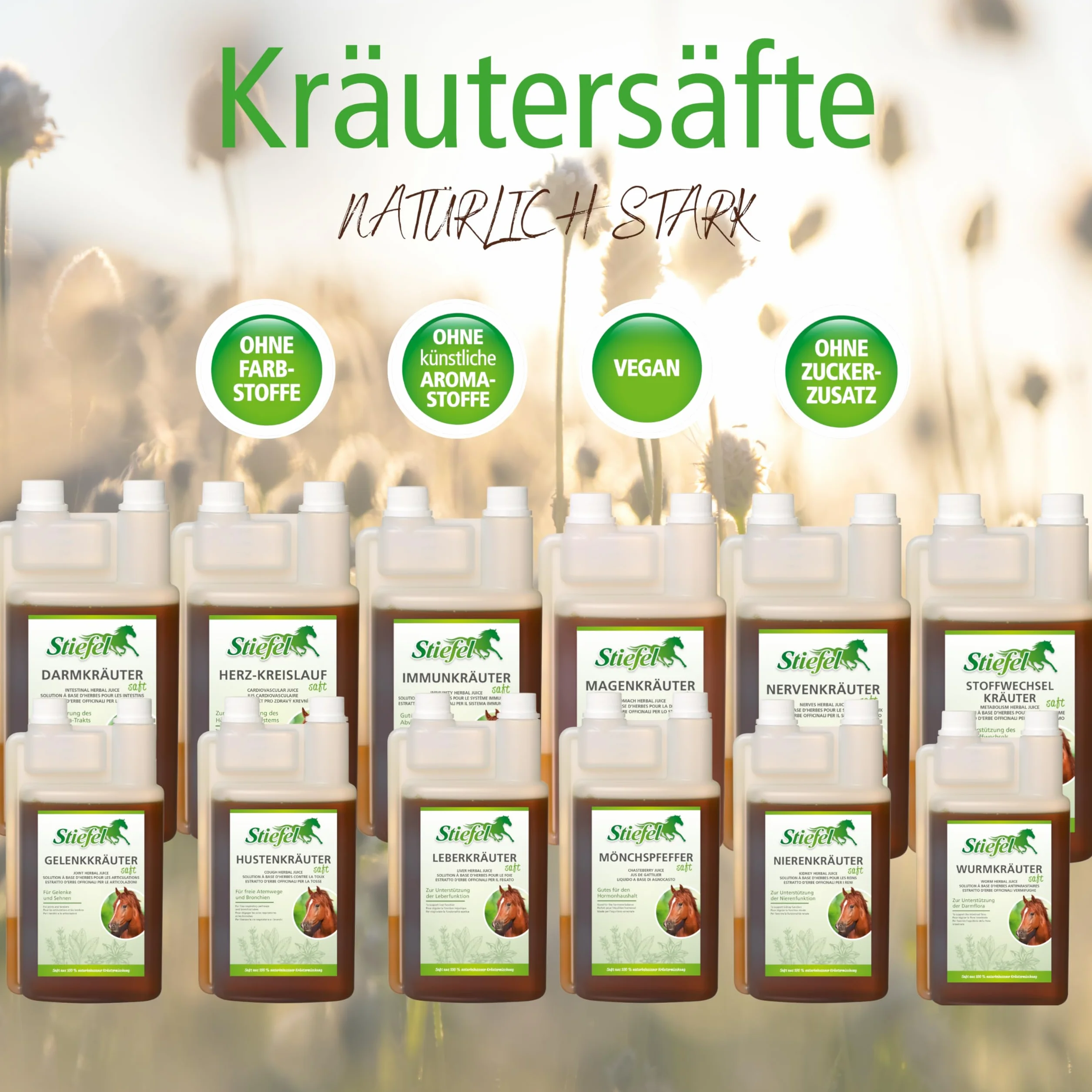 Stiefel Nerves Herbal Juice 1 l