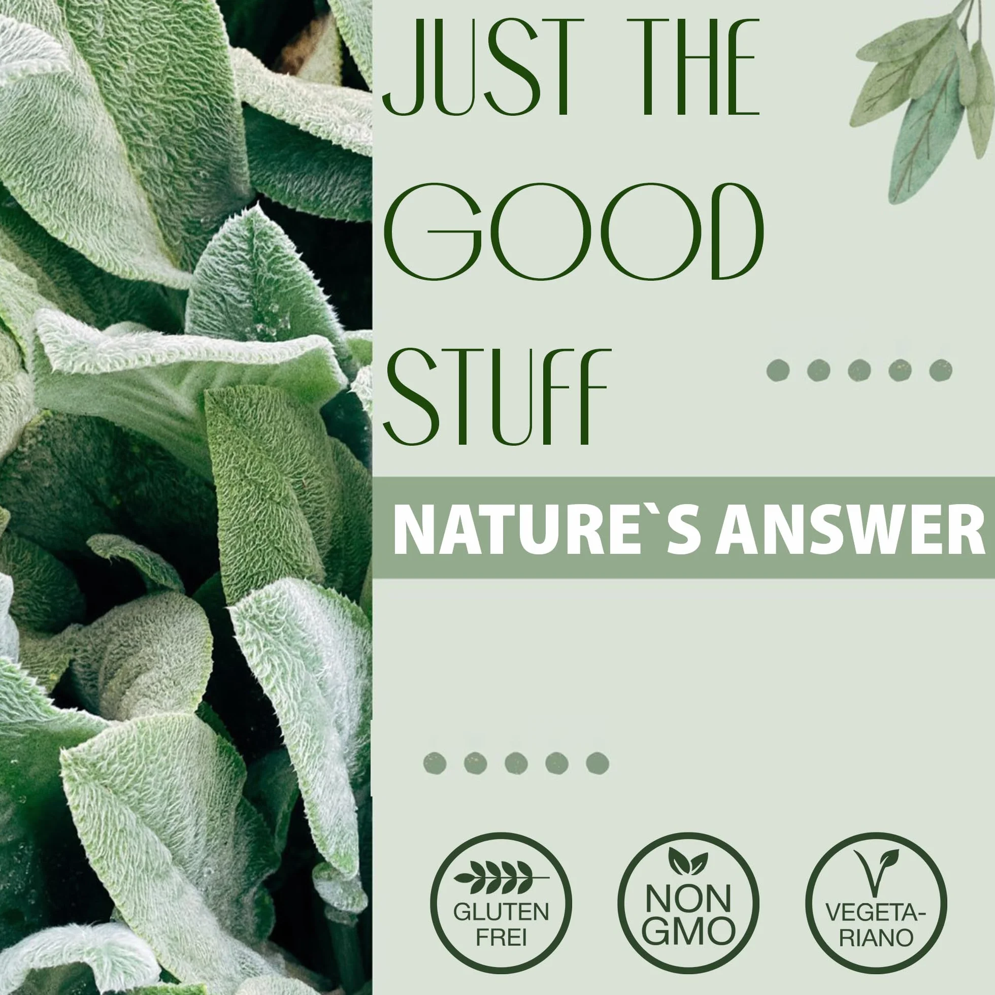 Nature's Answer, Cat's Claw Bark (Corteccia di Artiglio di Gatto), 2.000mg, 60ml, Testato in Laboratorio, Senza Glutine, Senza Soia, Vegetariano