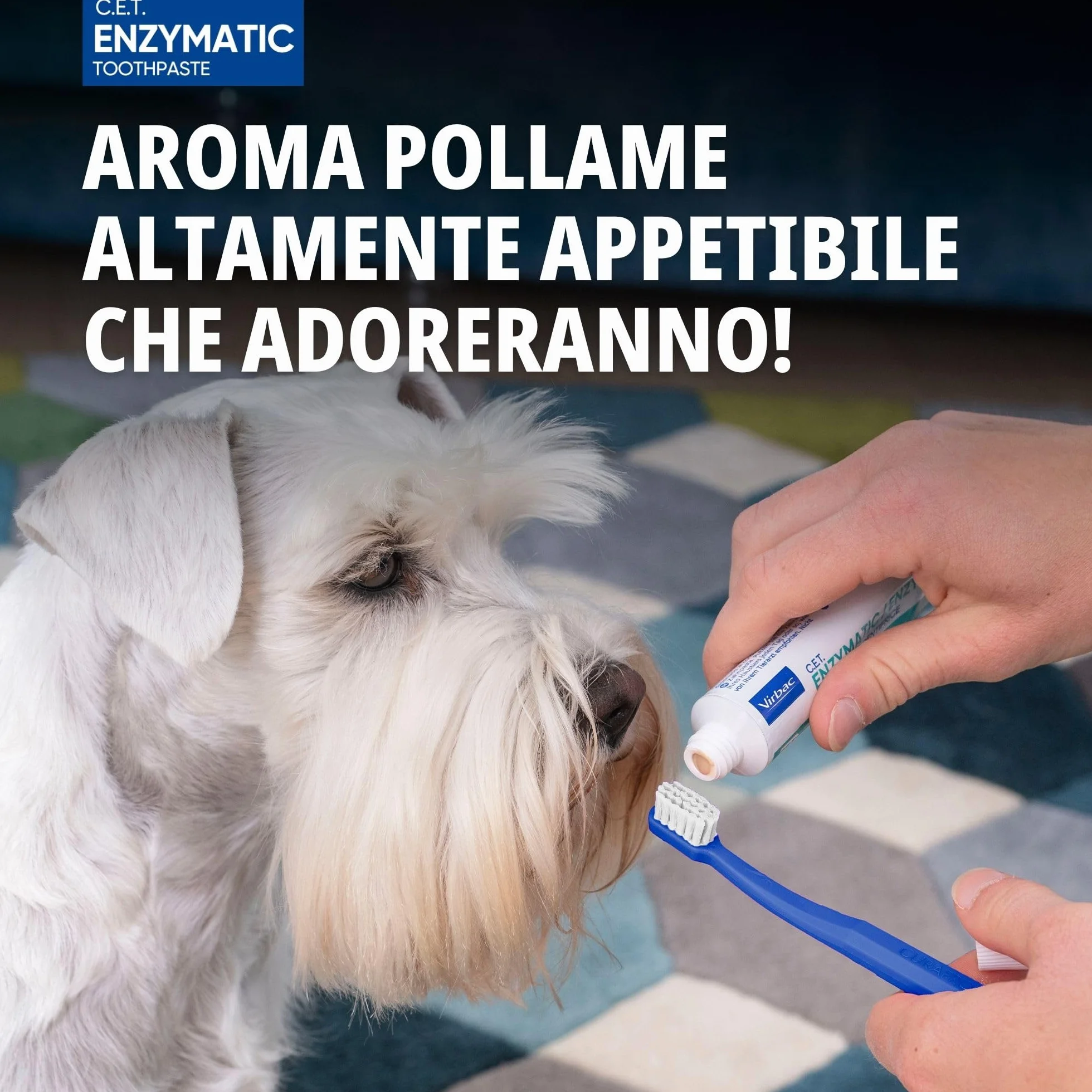 Virbac C.E.T. Dentifricio enzimatico per animali | Confezione Doppia | 2 x 70 g | Dentifricio aromatizzato al pollame per cani e gatti | Da utilizzare con uno spazzolino adatto agli animali