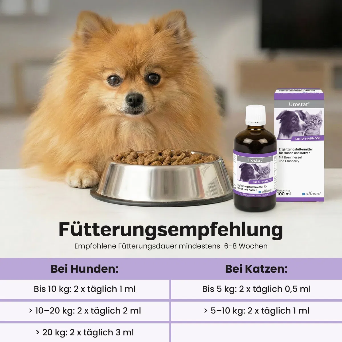 Alfavet Nephrostat (100 ml) – alimento complementare liquido per cani e gatti – supporto nutrizionale per vie urinarie e organi urinari – con verga d’oro, betulla, ortosifon e siringa dosatrice
