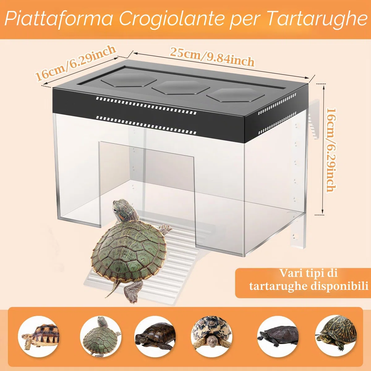 Tartaruga Piattaforma Regolabile Altezza Hanging Topper Habitat con Coperchio e Rampa, 25 × 16 × 16 cm PC Trasparente Piccolo Sopra il Serbatoio Recinzione Acquario per Baby Land Turtles Red Ear