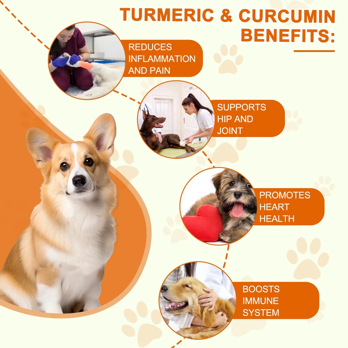 Curcumina per Cani 180 Compresse - Integratore Articolazioni Antinfiammatorio con Piperina, Antiossidante Naturale per Digestione e Fegato - Alta Biodisponibilità, Senza Additivi