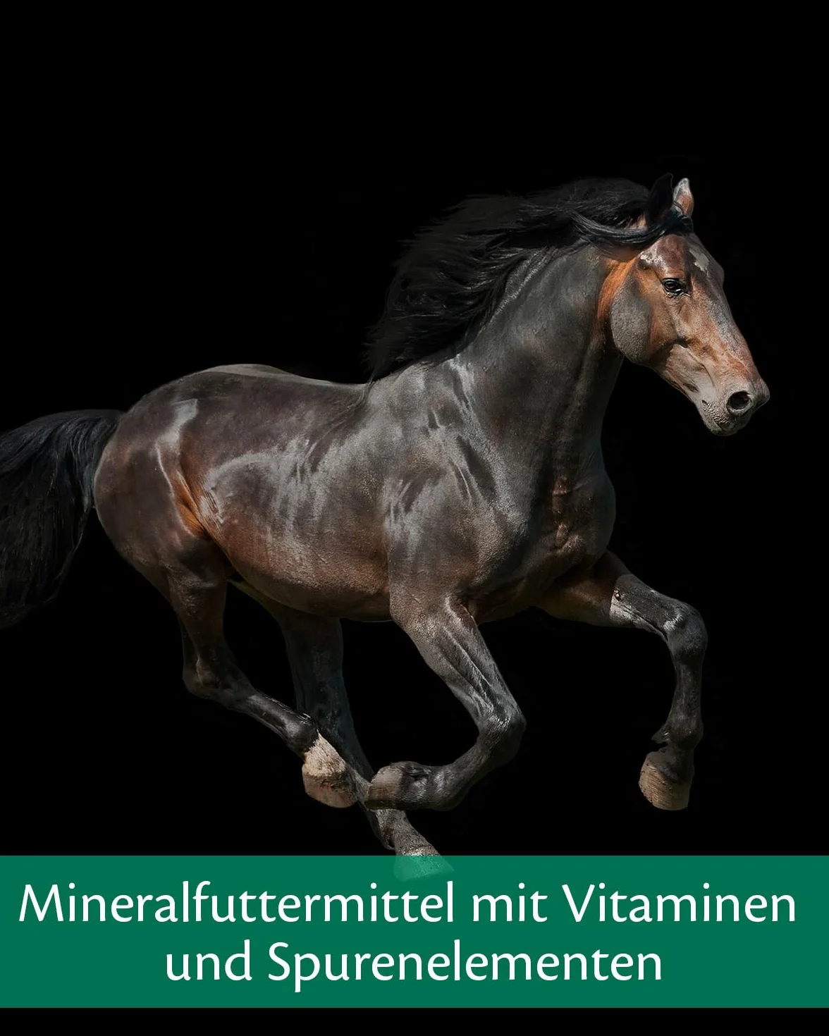 EQUISTRO® Mega Base | Mangime complementare per Cavalli | Mangime Minerale di Alta qualità per sostenere Il fabbisogno di nutrienti | 3 kg