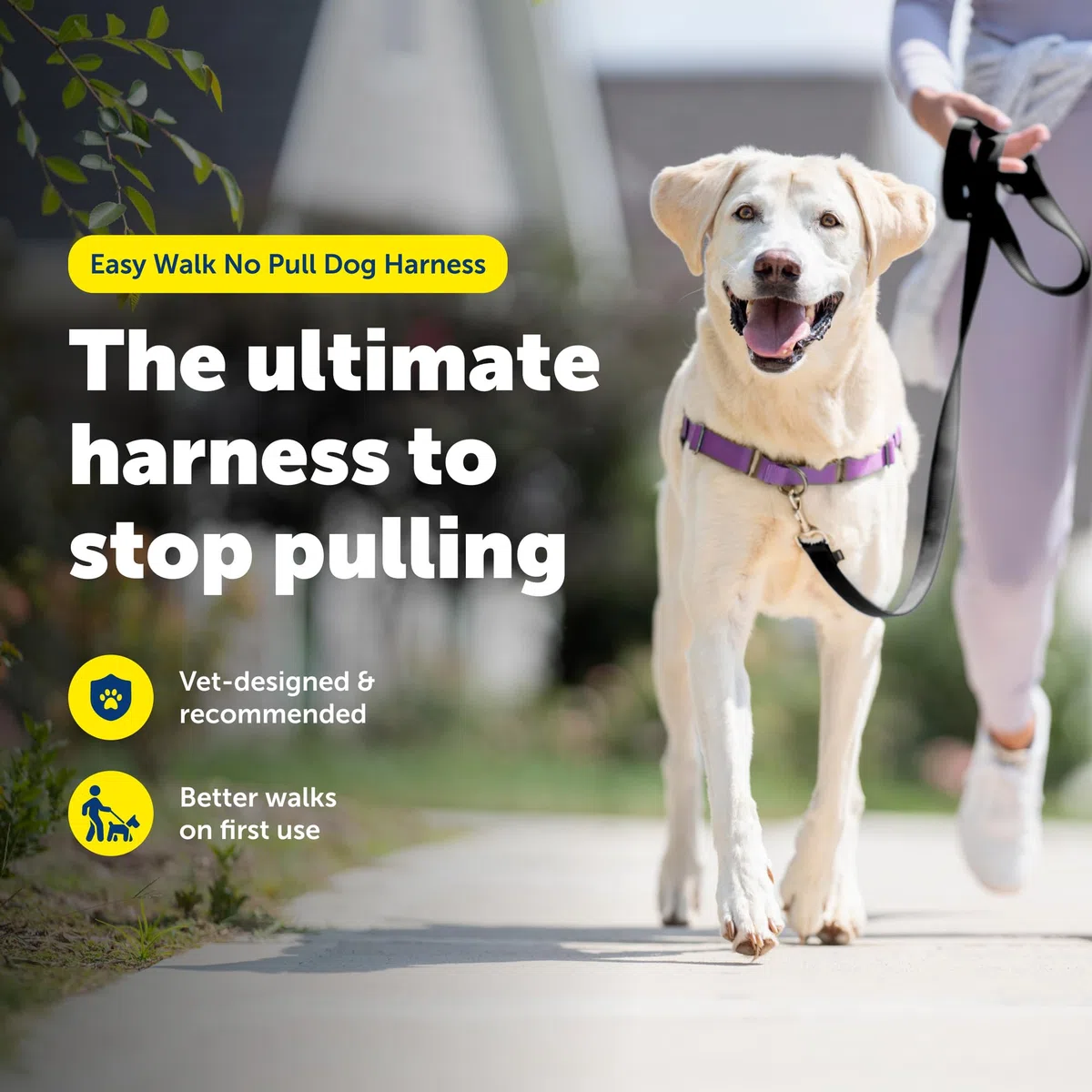 Petsafe Easy Walk Imbracatura per Cani