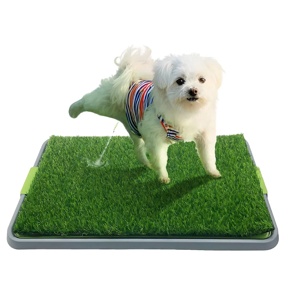 Vassoio WC per cani con tappetino lavabile per pipì e erba artificiale per addestramento di cani cuccioli, lettiera portatile per cani da interno